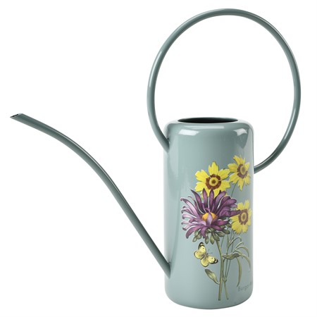 Vattenkanna 1,2 L - Asteraceae