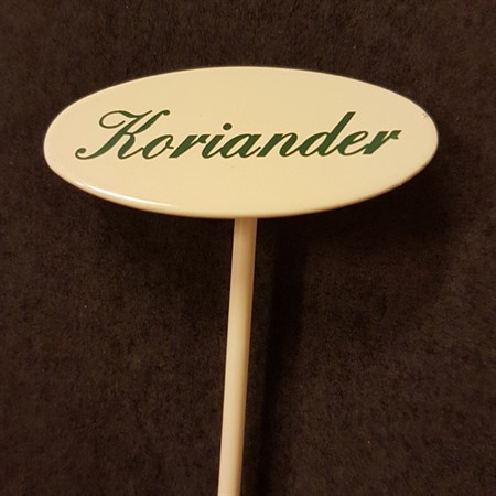 Coriander sign small on spear