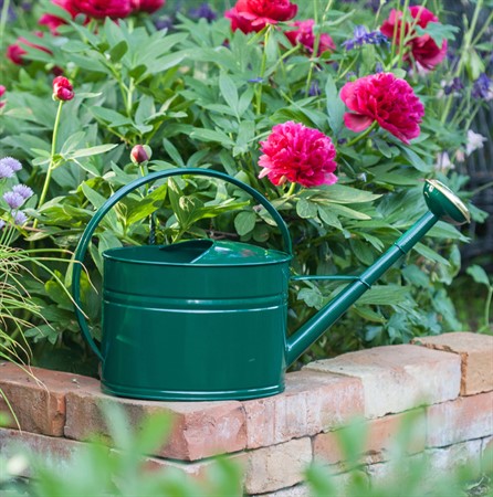 Vattenkanna oval med stril mörkgrön 1,7 L