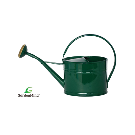 Vattenkanna oval med stril mörkgrön 1,7 L