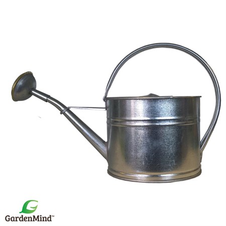 Vattenkanna oval m stril zink 1,7 L