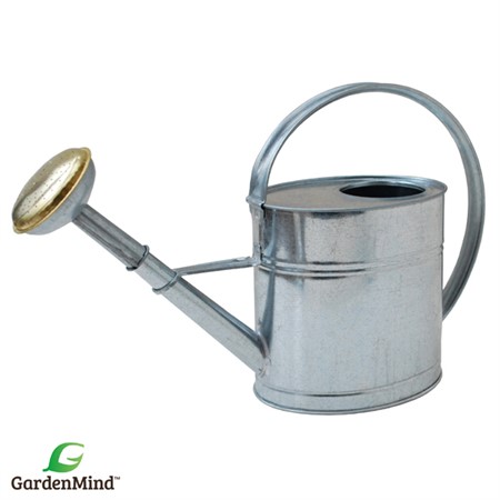 Vattenkanna oval m stril zink 4L