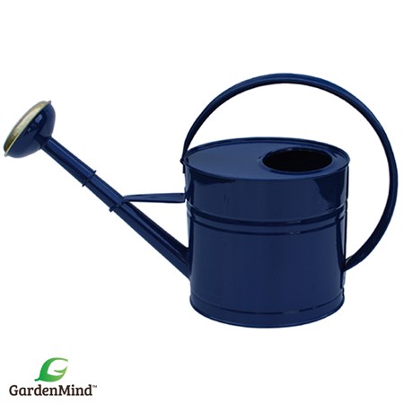 Vattenkanna oval m stril blå 4L