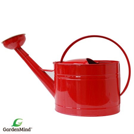 Vattenkanna oval m stril mörkröd 10L