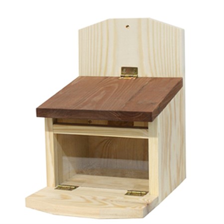 Ekorr-matare med insyn, brunt tak