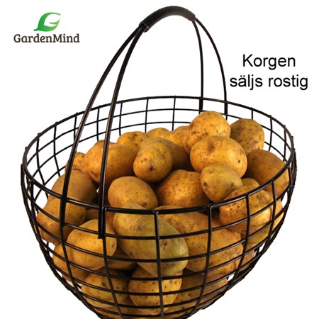 Korg med längsgående handtag, rostig