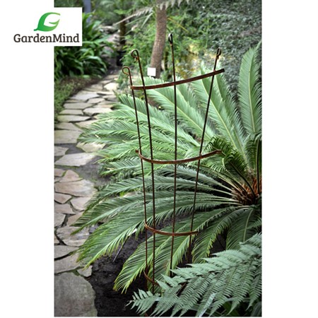 Vägg-spaljé rost, h179xb50xd14 cm