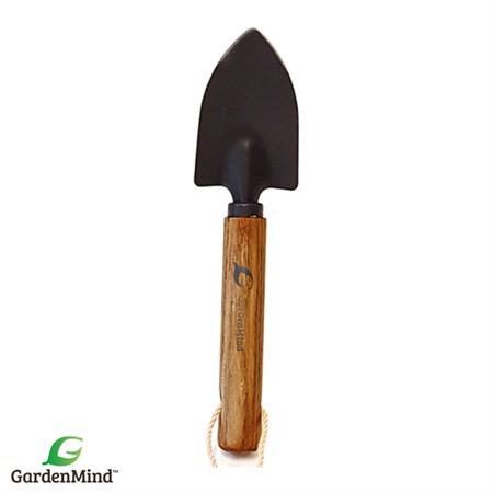 Mini-Spade krukväxt