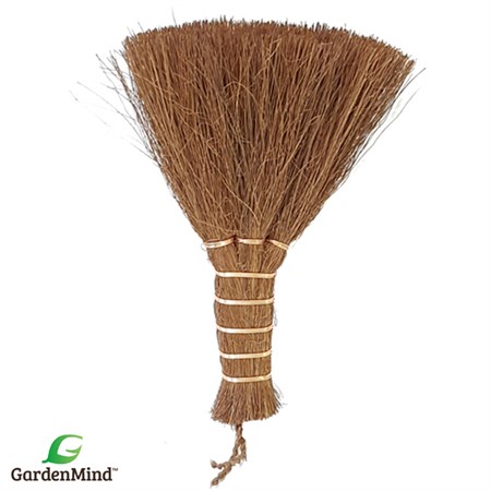 Mini-Borste krukväxt