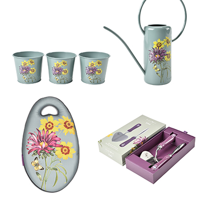 Asteraceae kollektion