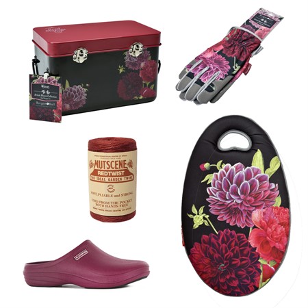 Rött, svart &amp; British Bloom