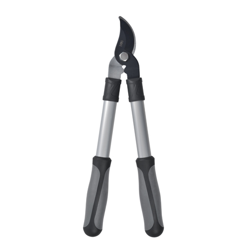 Grensax, papegoj, längd 45 cm