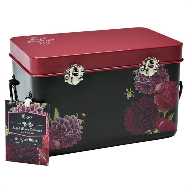 Burk för frö -  British Bloom 3 fack