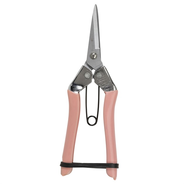 SekatörSax ,Pres.förp  - Corall Collection