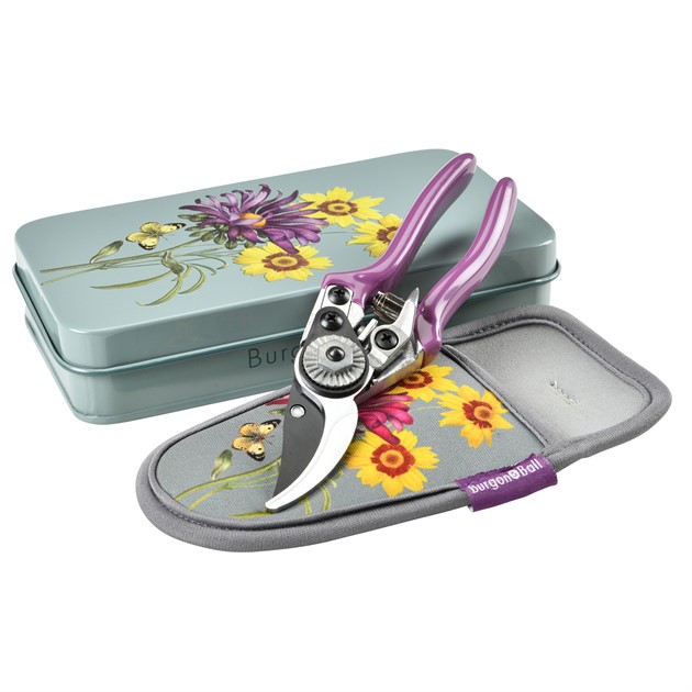 Sekatör o hölster Pres.förp  - Asteraceae