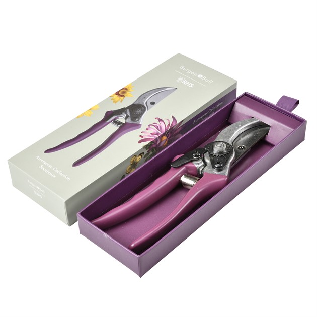 Sekatör,Pres.förp  -  Asteraceae