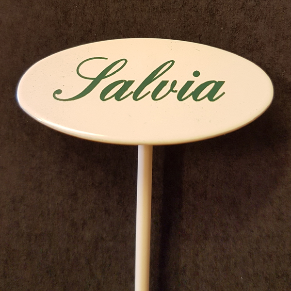 Salvia skylt liten på spjut