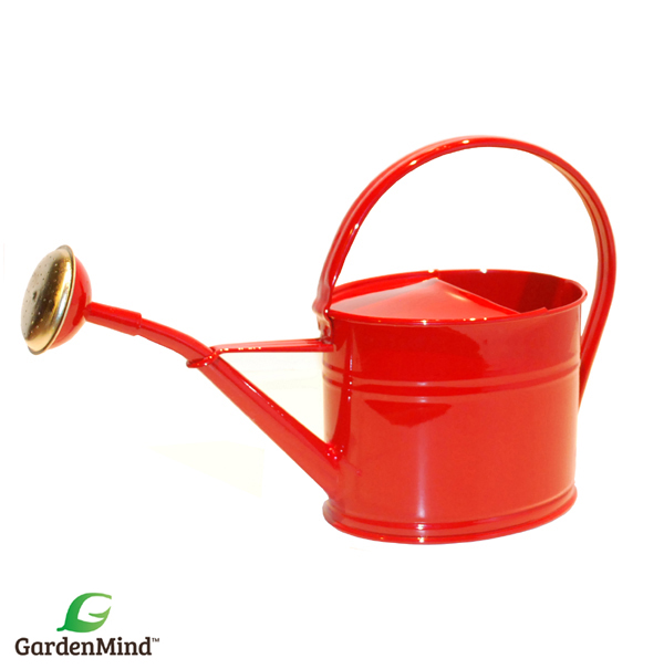 Vattenkanna oval med stril mörkröd 1,7 L