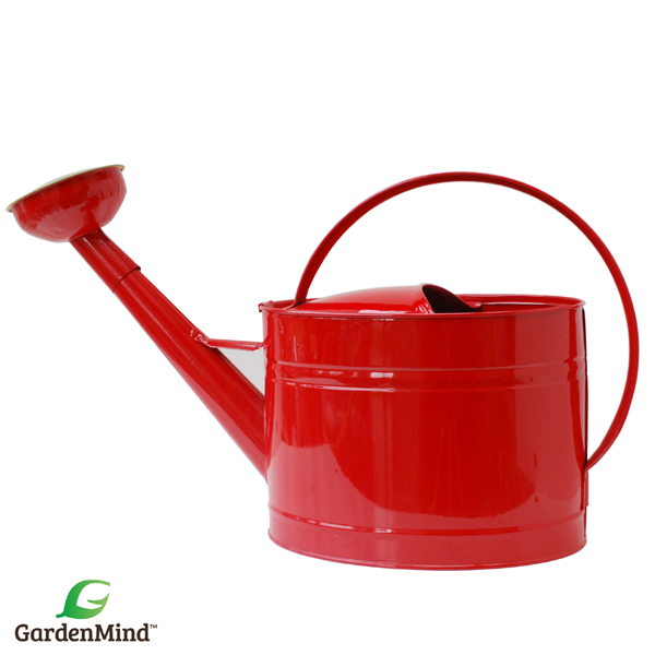 Vattenkanna oval m stril mörkröd 10L