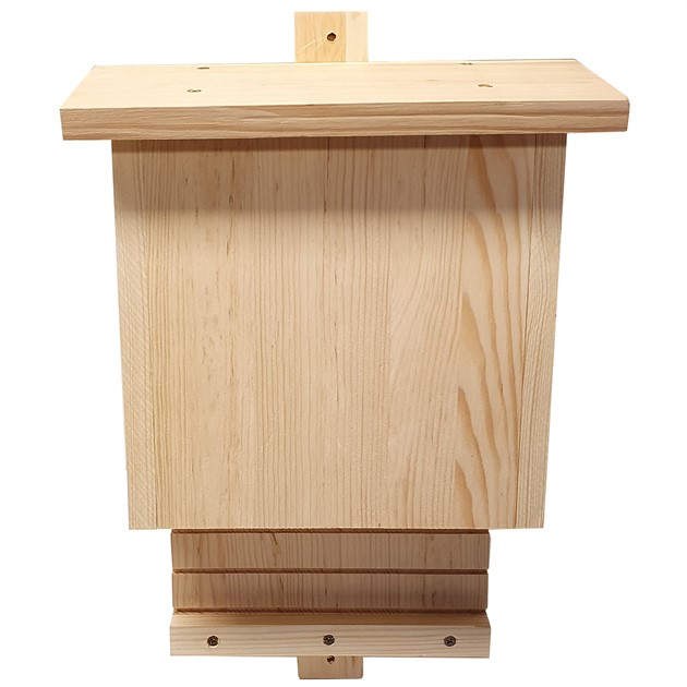 Fladdermus-hus natur