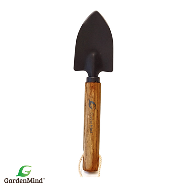 Mini-Spade krukväxt