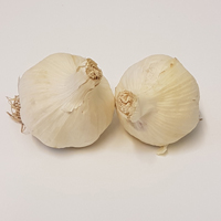 Vitlök (planteras höst)