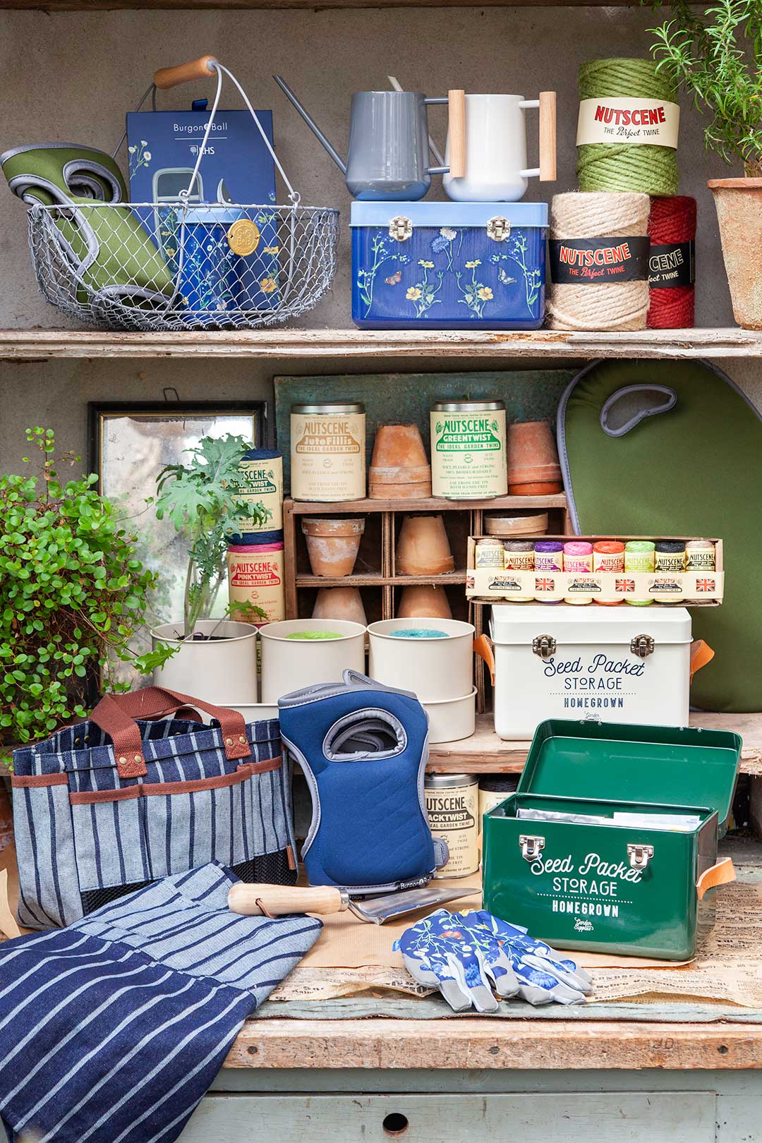 Annons:TF IMG_9261.jpg